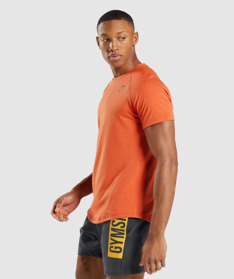 Men's Gymshark Bold T-Shirts Orange | CA 05DA7N